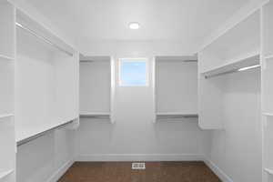 Spacious closet featuring dark carpet