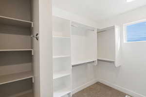 Spacious closet with light carpet