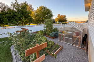 Last Year's Garden
