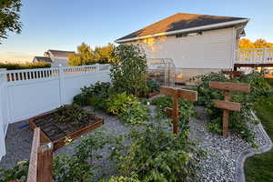 Last Year's Garden