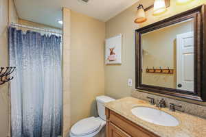 Full bath featuring toilet, vanity, and a shower with shower curtain