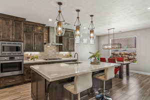 Kitchen with stainless steel appliances, a sink, wall chimney exhaust hood, light wood-style flooring, and decorative backsplash