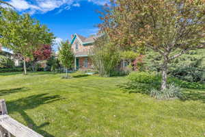 View of grassy yard