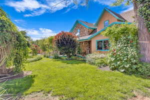 View of grassy yard
