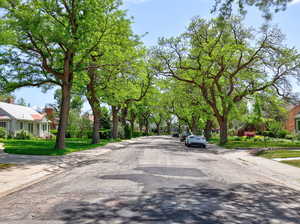 View of asphalt street featuring sidewalks and curbs