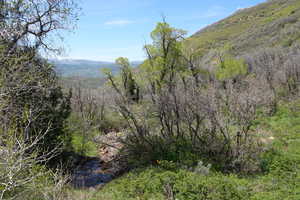 View of mountain backdrop and creek