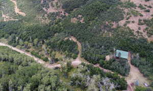 Aerial view of property and surrounding area with a forest