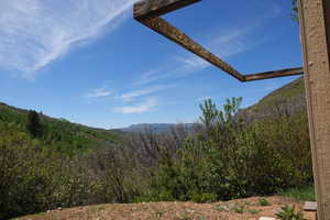 View of mountain background with a heavily wooded area from front of shed