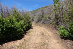 View of driveway