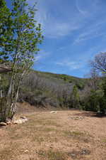 View of cleared area