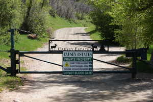 View of gate