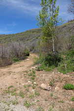 View of lot from the road