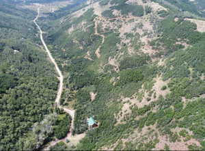 Aerial view of property's location with a heavily wooded area