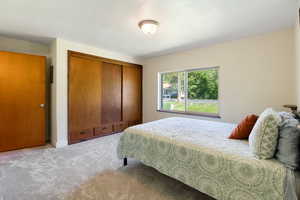 Bedroom with a closet and carpet flooring