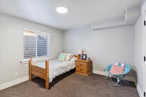 Comfortable lower level bedroom offering a peaceful retreat with ample space, perfect for guests or family.