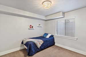Quiet and private lower level bedroom, offering ample space and comfort. Ideal for guests or family, with plenty of natural light and a peaceful atmosphere.