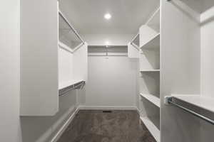 Spacious closet featuring carpet flooring