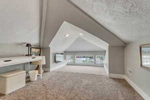 Bonus room featuring vaulted ceiling, a textured ceiling, carpet floors, and visible vents