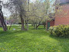 View of green lawn