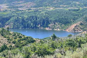 Water view with a heavily wooded area