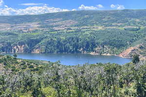 Water view with a mountainous background and a heavily wooded area