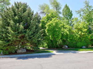 View of asphalt road