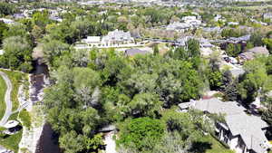 Aerial perspective of suburban area featuring a tree filled landscape and a large body of water