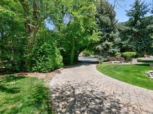 View of community featuring a lawn