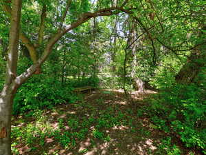 View of wooded area