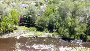 View of property location with a heavily wooded area