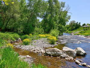 View of undeveloped land