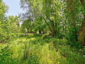 View of undeveloped land