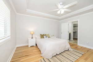 Bedroom with light wood-style floors, ornamental molding, baseboards, a ceiling fan, and a spacious closet
