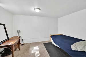 Bedroom featuring carpet flooring, baseboards, and a textured ceiling