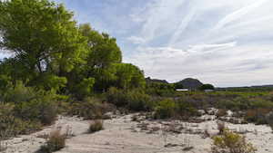View of local wilderness
