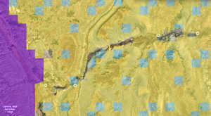 Detailed view