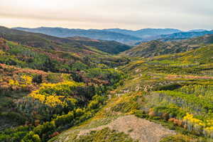 Mountain view with a heavily wooded area