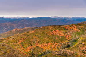 Mountain view with a heavily wooded area