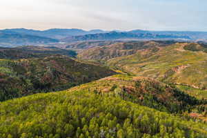 View of mountain background with a forest