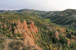 View of mountain backdrop with a heavily wooded area