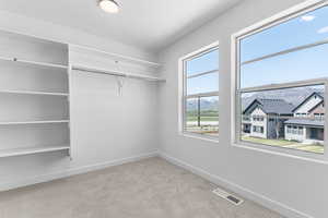 Walk in closet with carpet
