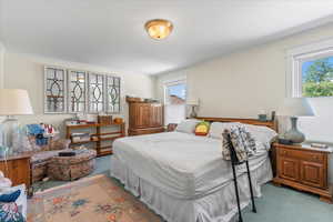 Bedroom featuring ornamental molding, carpet flooring, and multiple windows