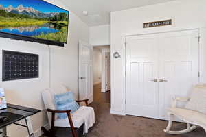 Living area featuring carpet floors
