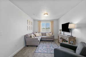 Loft with carpet floors
