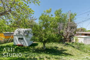 View of yard with a shed and an outdoor structure