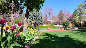 View of yard with a pergola