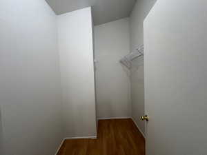 Walk in closet with wood finished floors