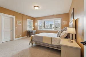 Bedroom with multiple windows, carpet flooring, and baseboards