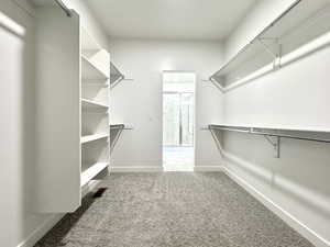 Spacious closet featuring carpet flooring