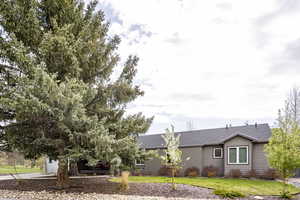 View of front facade with a front lawn, a shingled roof, and concrete driveway
